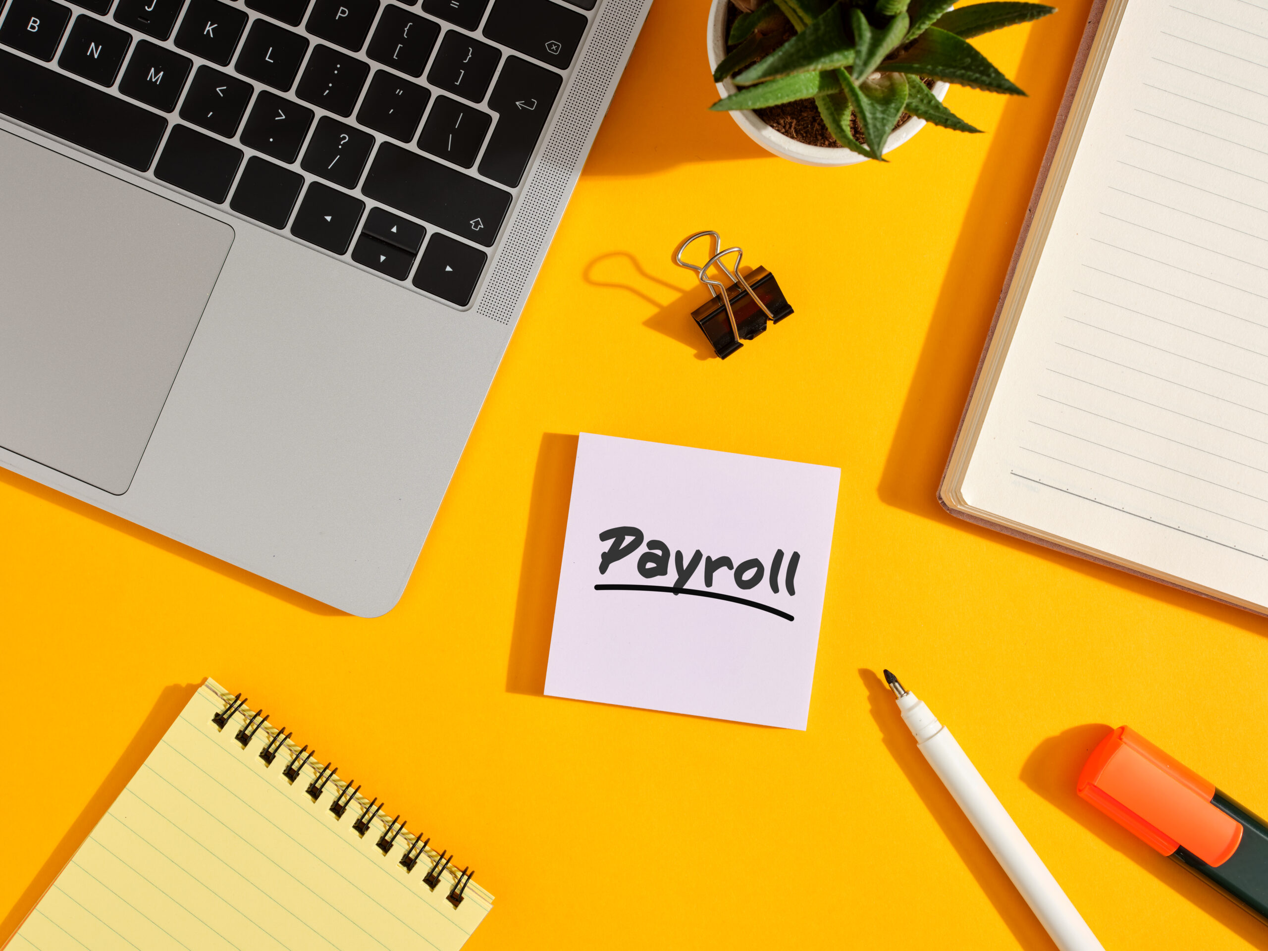 Mastering the Art of Automation: Simplify Your Small Business Accounting and Payroll